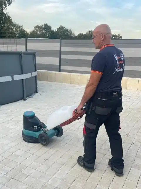 monobrosse